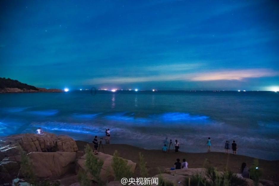 公主的阅读区