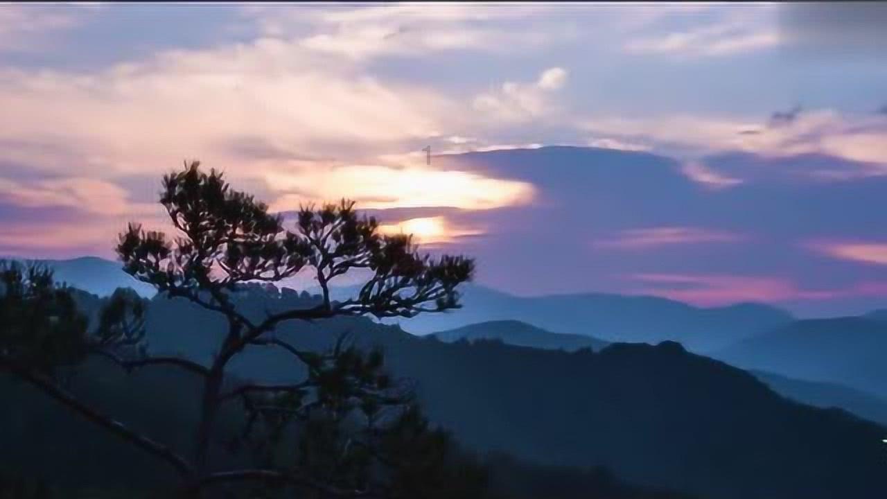 植物大战僵尸2