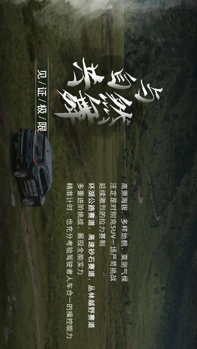 逗小猴开心系列206
