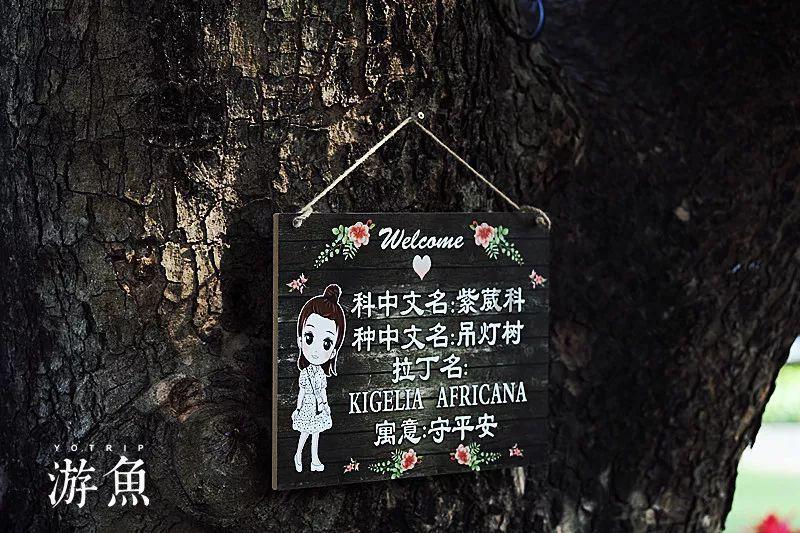 王一博有翡花絮再上热搜，你认为有翡频上热搜是实力还是资本?游戏画面