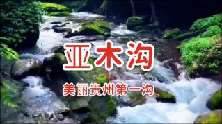 无限试驾2