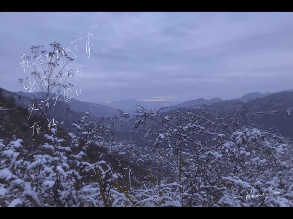 模拟农场17