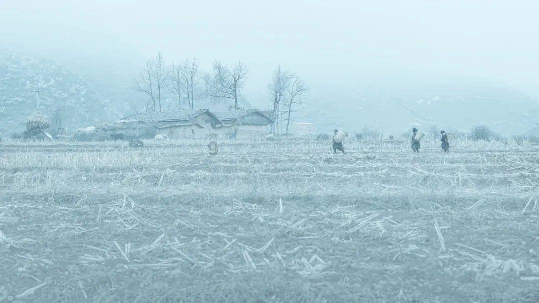 虫虫助手下载