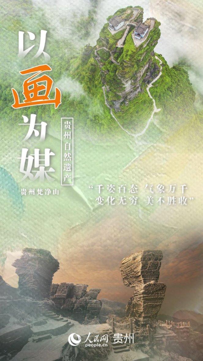 优雅的精灵