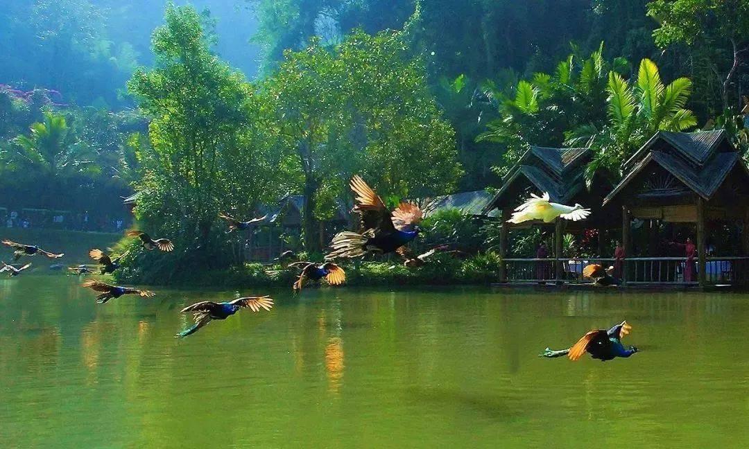 圆周率舞曲