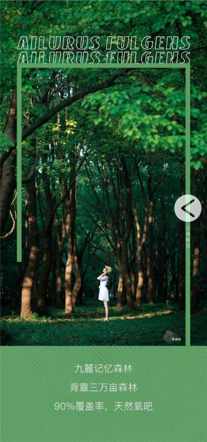 如何提高情商，变得会说话？游戏画面