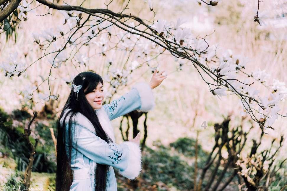 虫虫助手下载