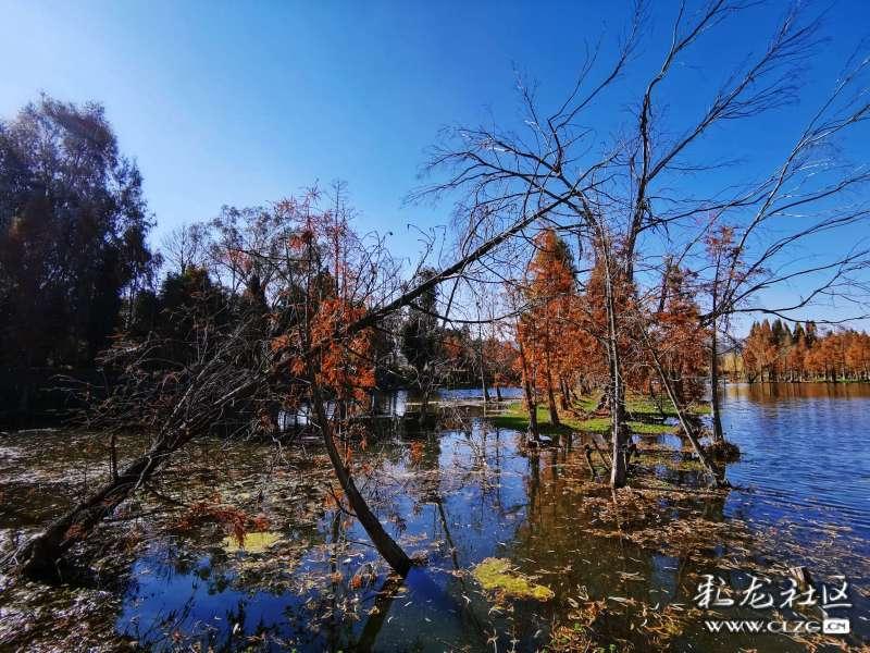 江西东乡：送春联 享新年