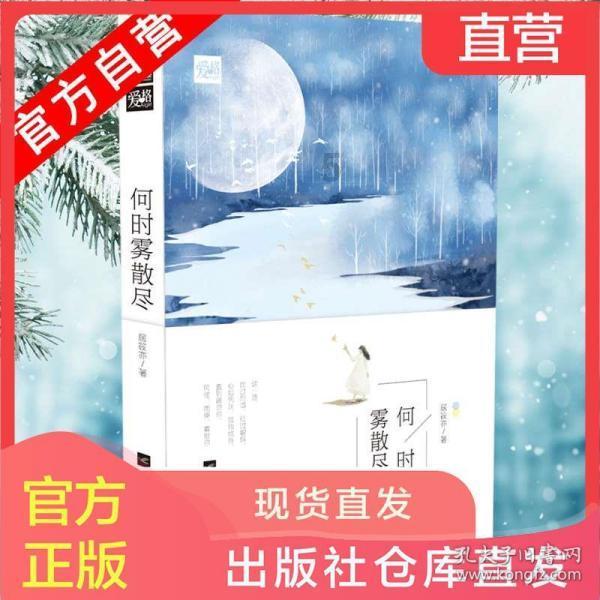探探猫宝石岛