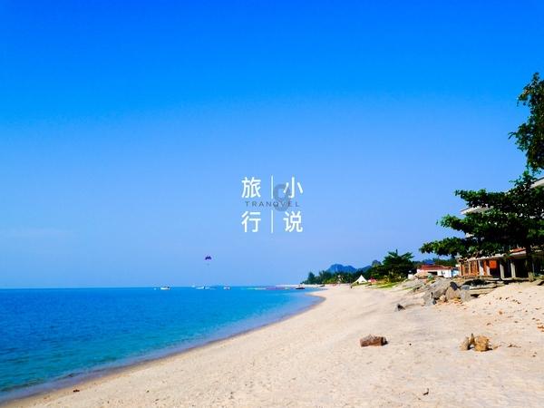 “煮饺子中途要不要加凉水”引热议,你家煮饺子都有哪些固定操作?