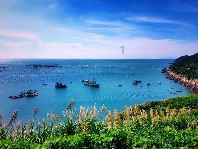 公主的华丽晚宴