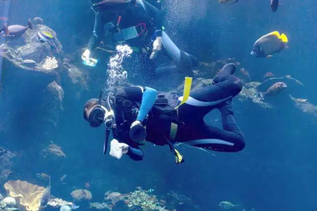 瑞幸、华润强势加持!西藏民族大学怎么样?环境超好,包你满意!