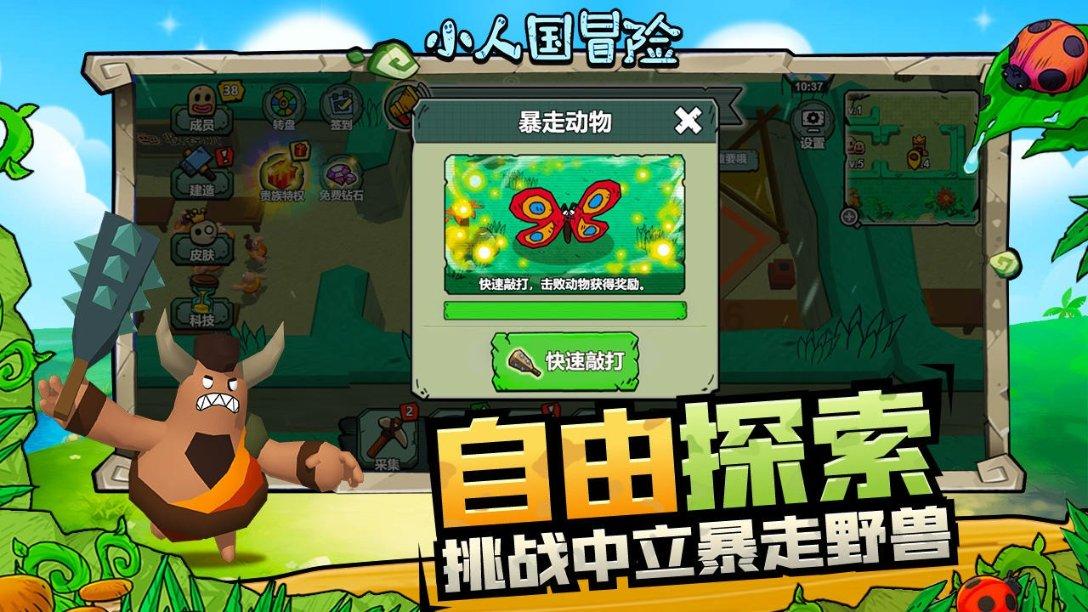 精灵的故事