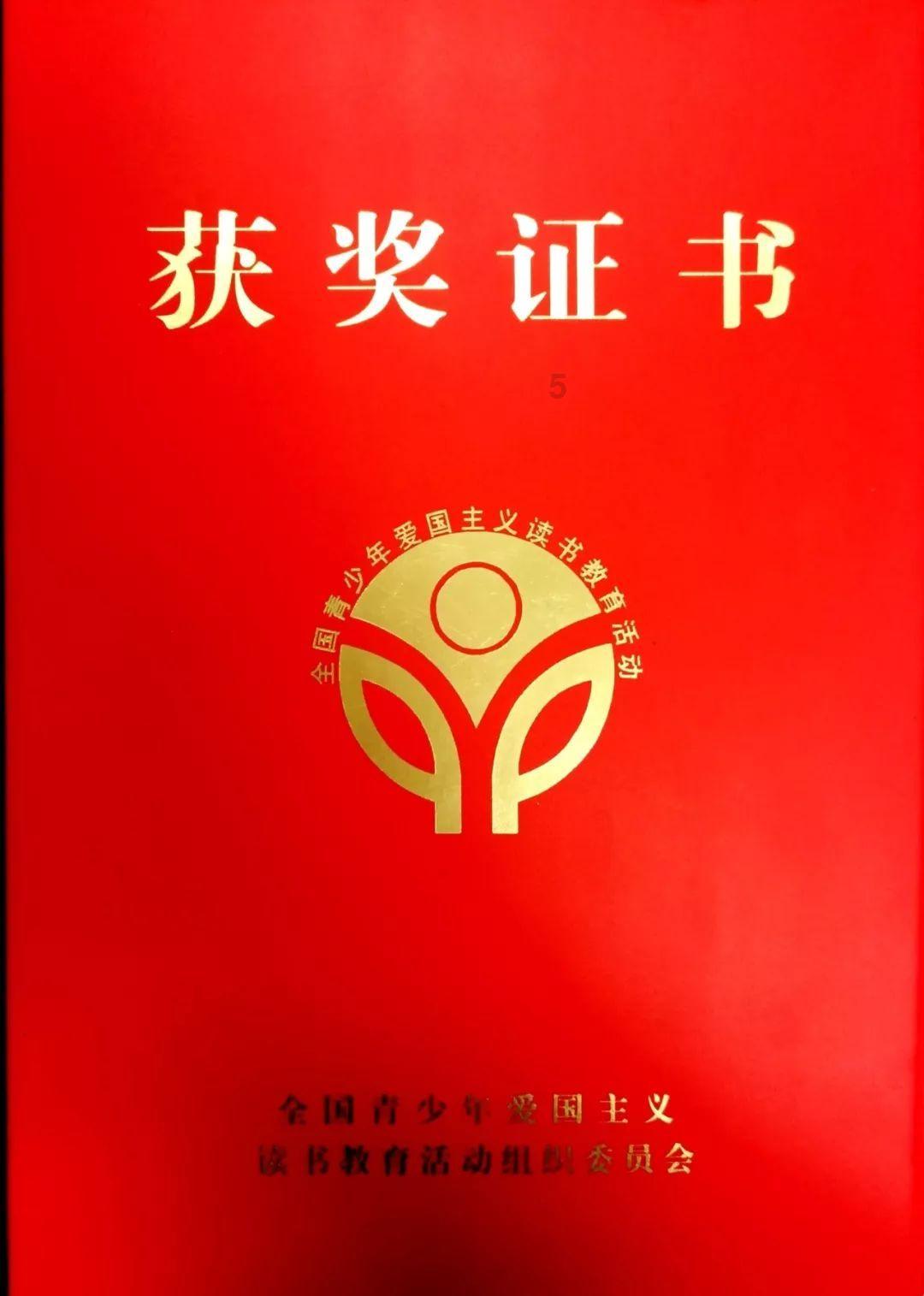 可爱的小考拉