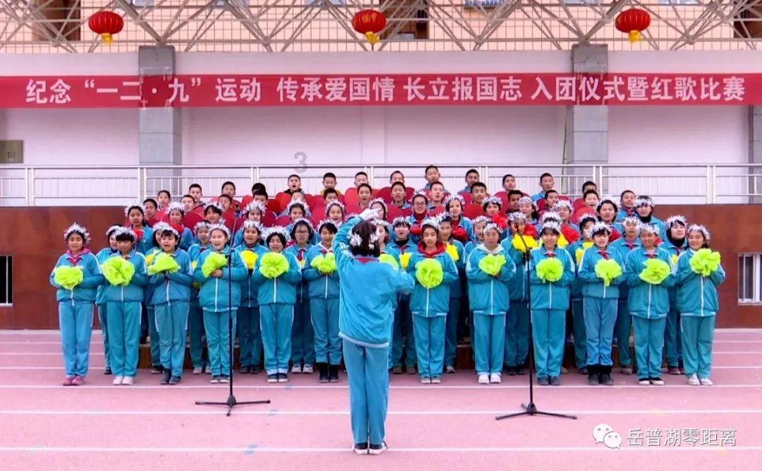 全民烧脑3去广告版