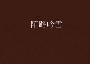 暖阳下的女孩们