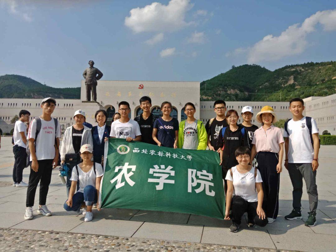 《要久久爱》首播差评一片，观众评价众口一词，杨紫这次真翻车了