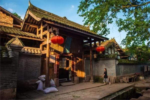 小猫钓鱼游戏龙王版有船