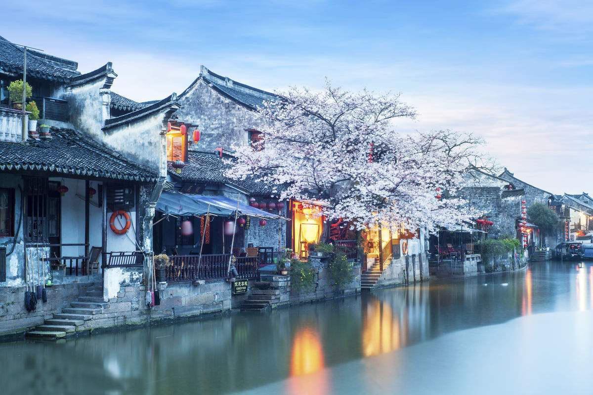 海岛大亨5
