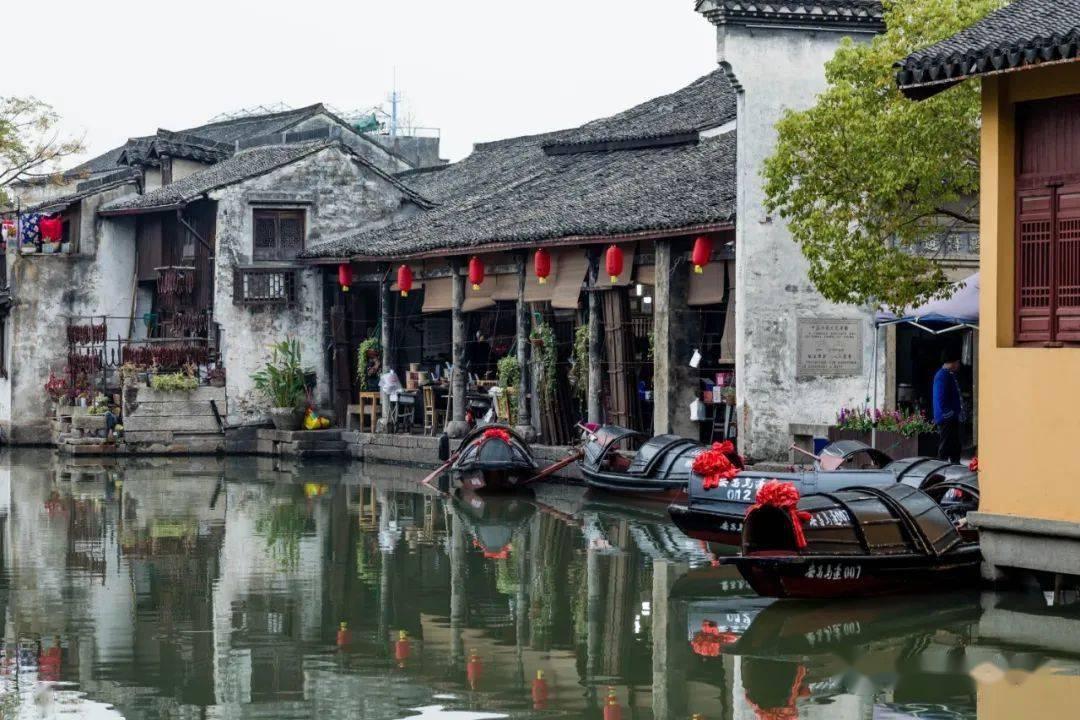 奥日与黑暗森林