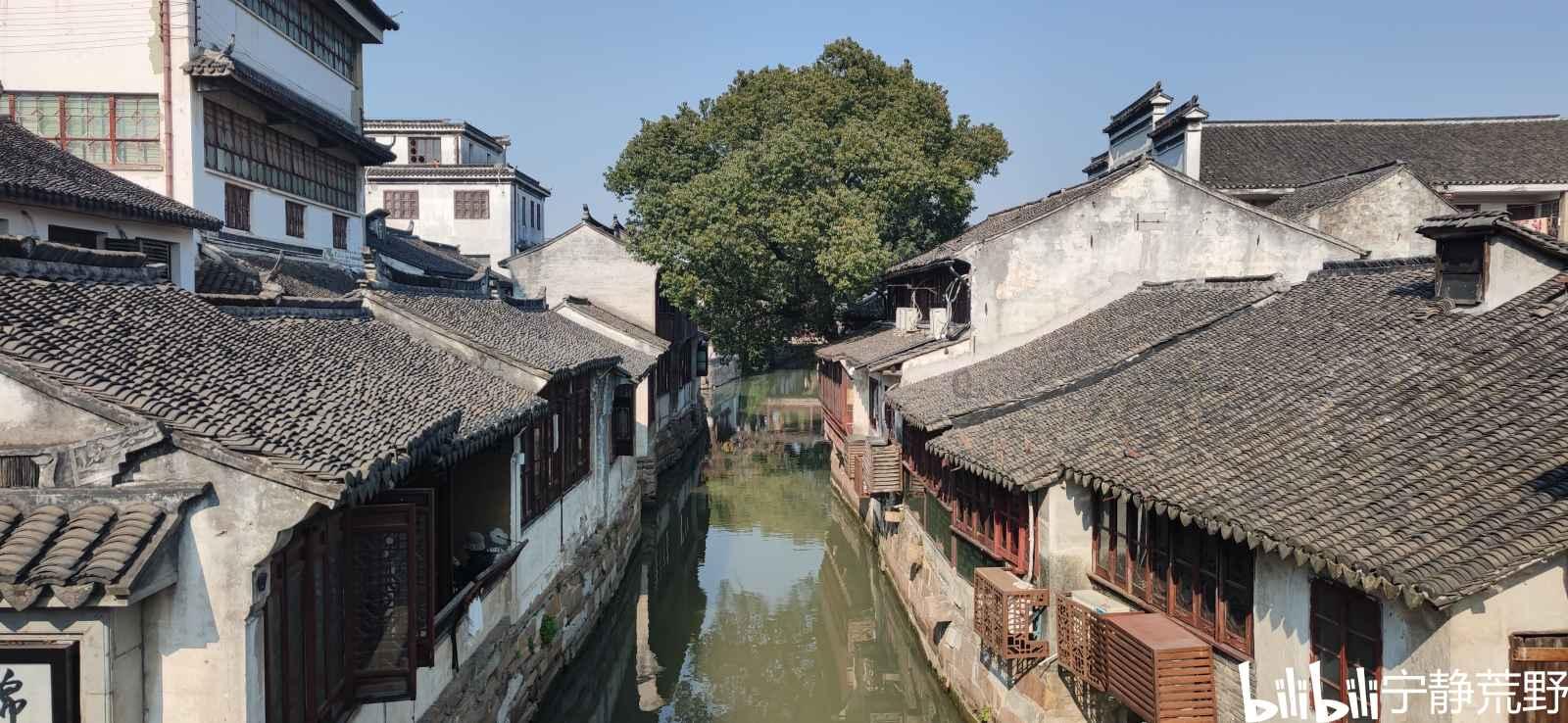 僵尸猎人赏金大赛