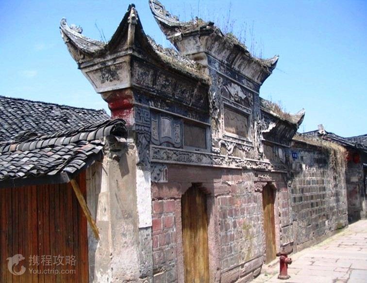 网球运动员营救