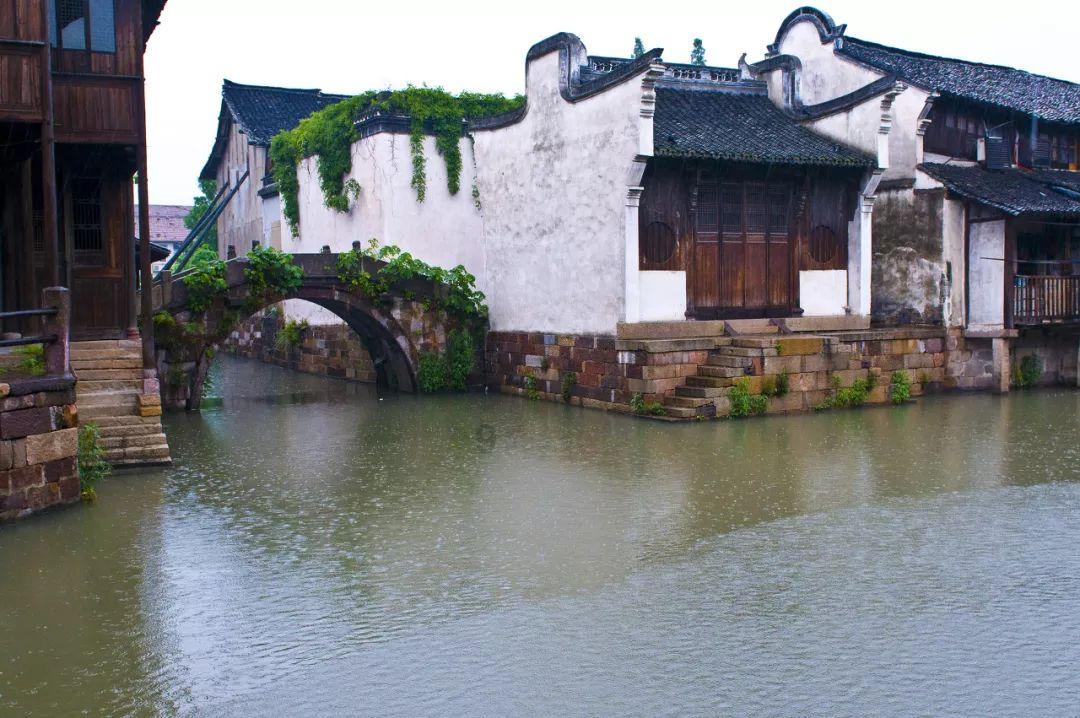 给小怪喂食