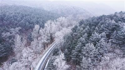 燃烧吧大脑装瓶子游戏